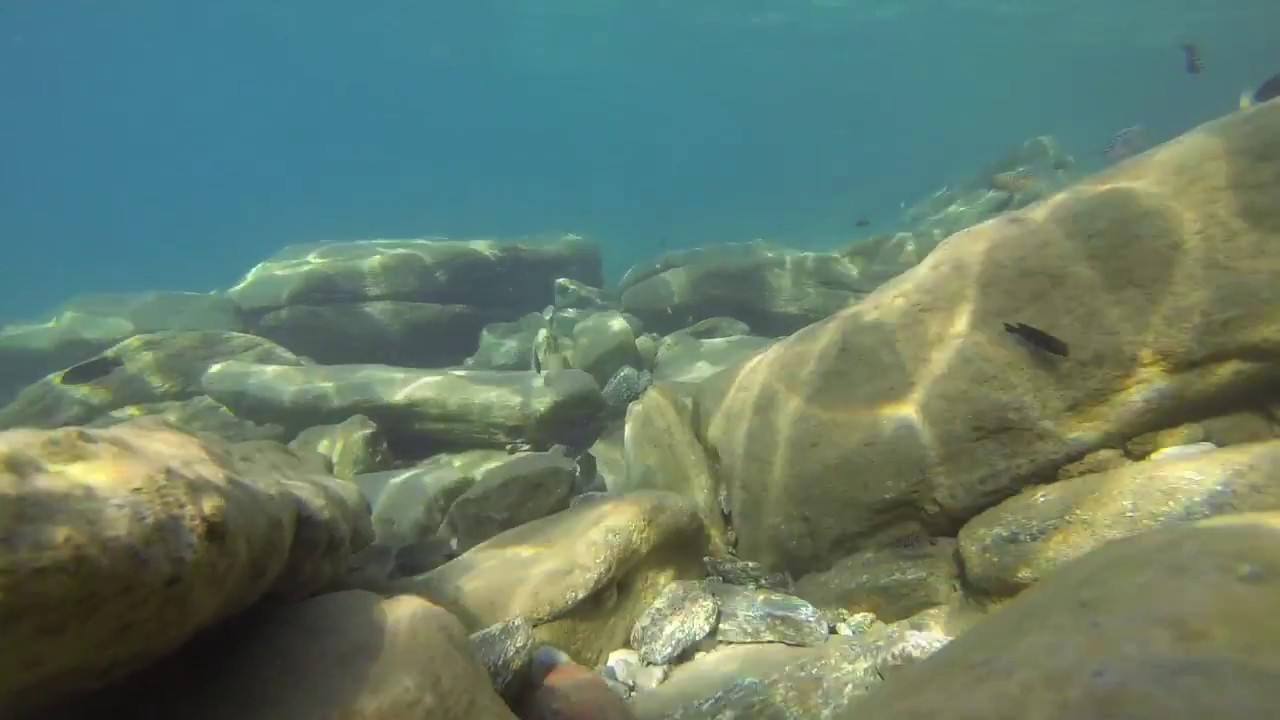 Snorkel in the Clear Waters of Lake Malawi, Nkhata Bay