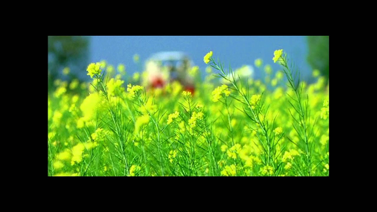 Fortune Kacchi Ghani - Farm To Plate (Hindi)