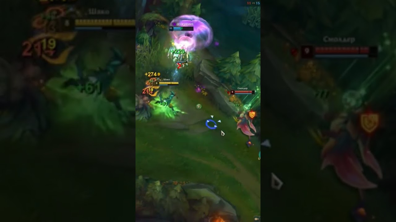 555 dmg shaco sup 14.4