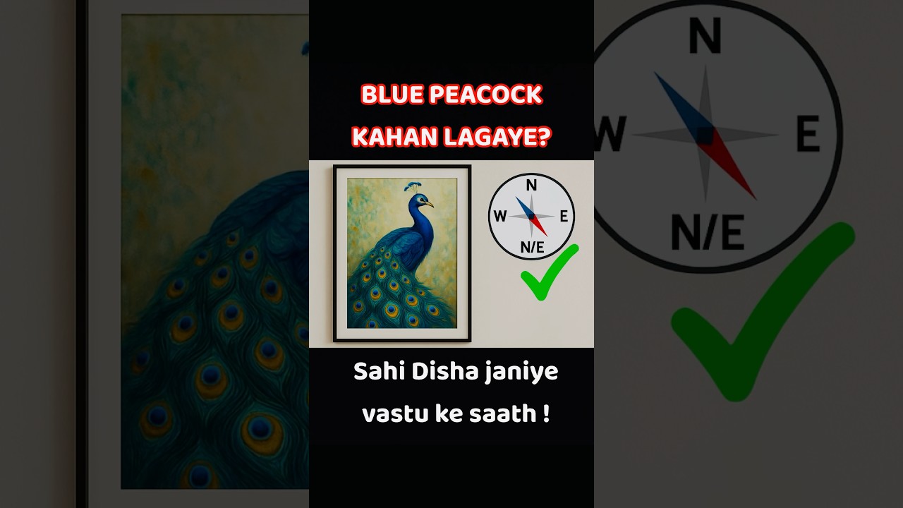 Peacock Painting Lagane Se Pehle Yeh Zaroor Dekho! 🦚✅ #vastu #vastutips #vastushorts #vastushastra