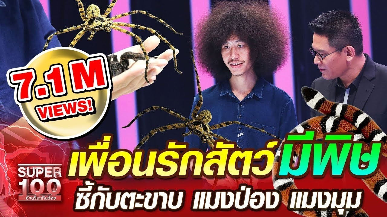 [Eng Sub] โจโฉ เพื่อนรักสัตว์มีพิษ ซี้กับตะขาบ แมงป่อง แมงมุม | SUPER 100