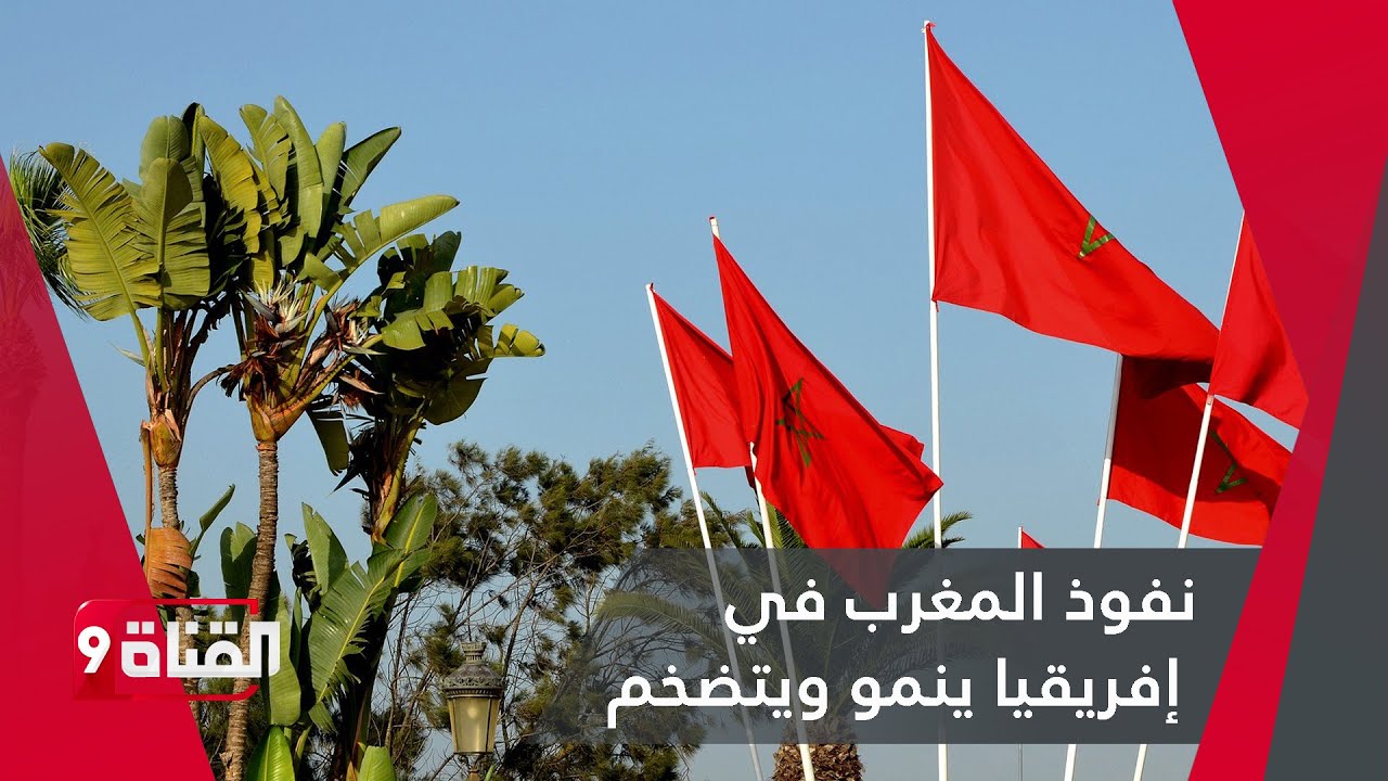 أبو القاسم الزبير: نفوذ المغرب في إفريقيا ينمو ويتضخم