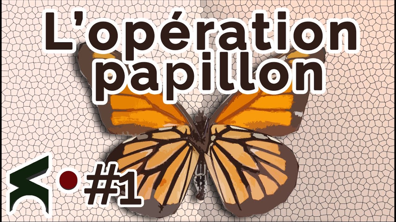L'op&eacute;ration papillon | Vallamir Story #1