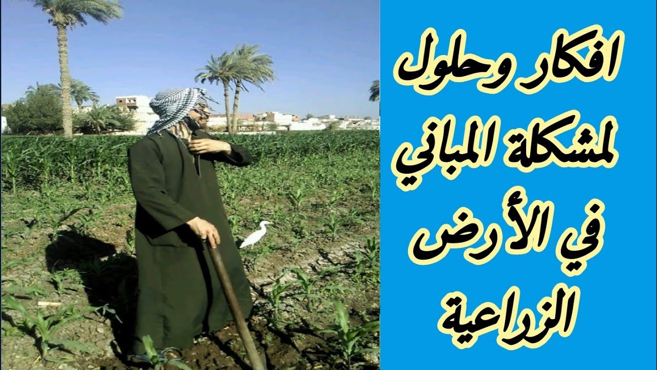 افكار وحلول لمشكلة المباني في الارض الزراعيه - كيف نتفادي عقوبة البناء علي أرض زراعية بشكل نهائي