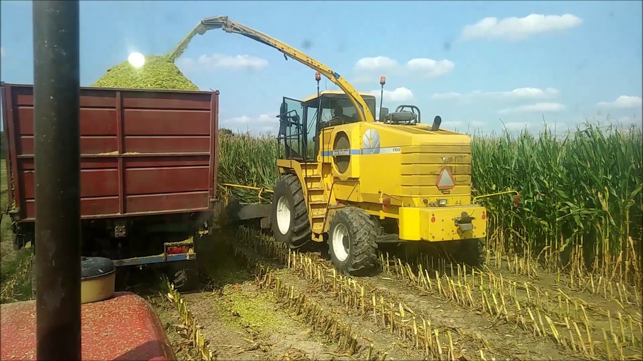 Koszenie kukurydzy NEW HOLLAND FX50 2018