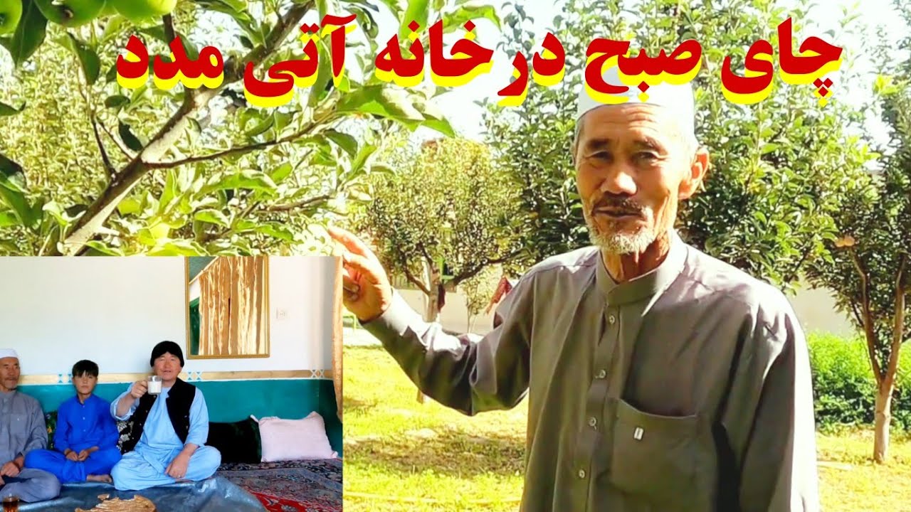 چای صبح وشیر چای خانه آتی مدد لالی