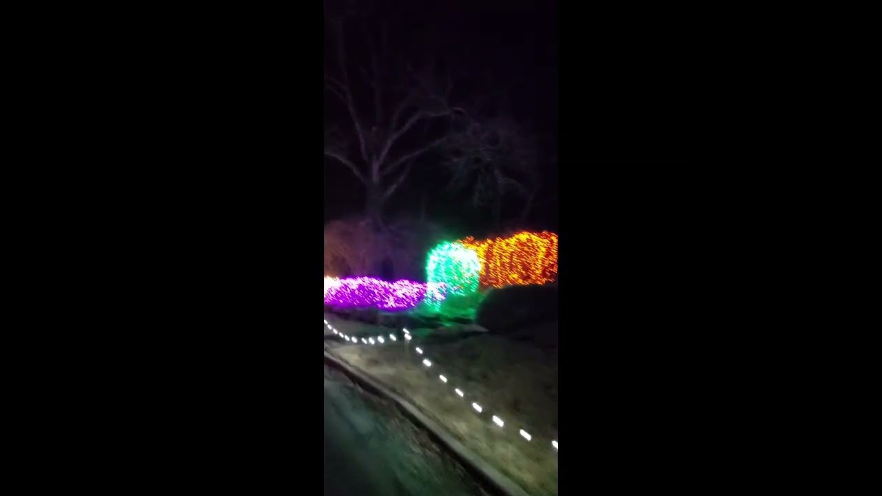 Christmas light with Cate 12-30-2025