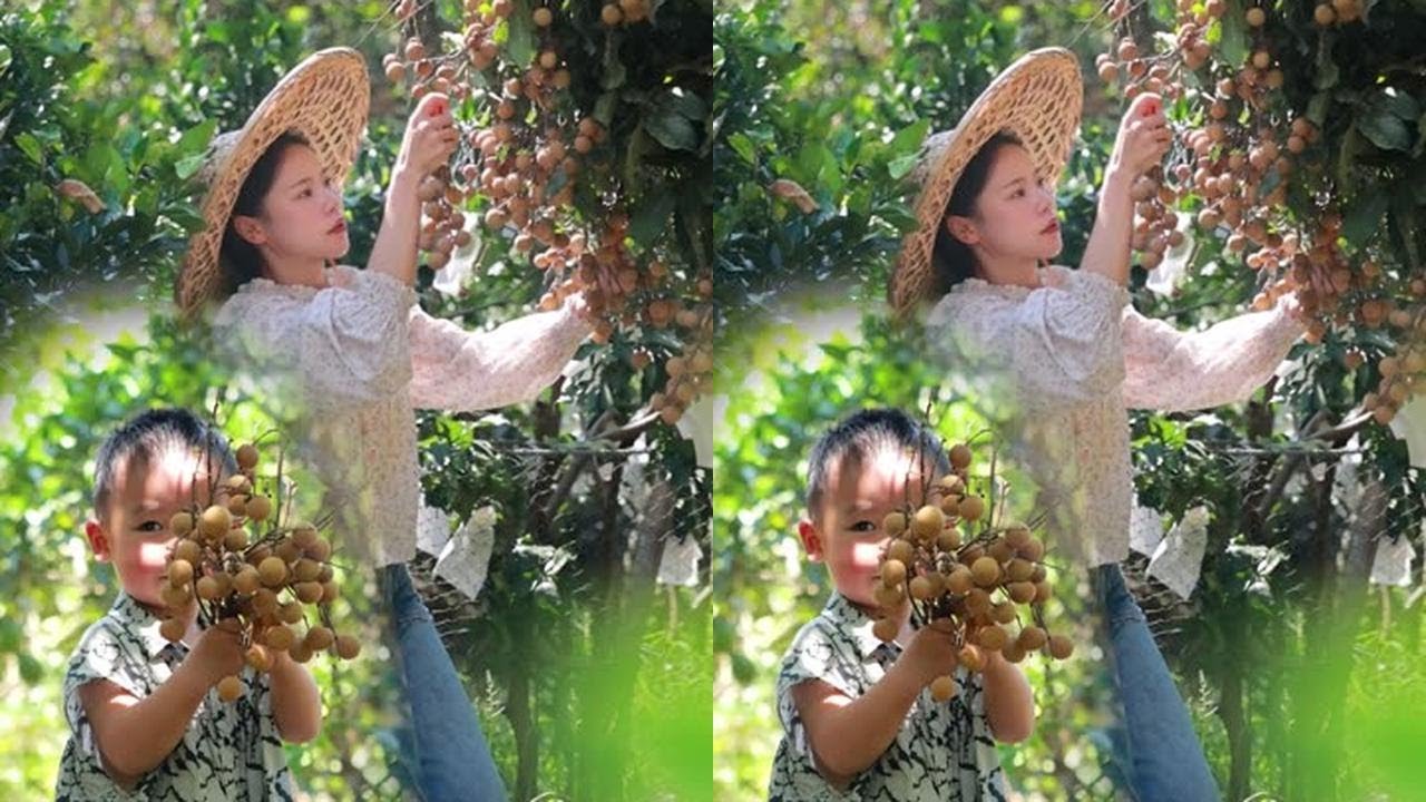龙眼变桂圆，靠头顶的太阳，慢晒出碗里的甜～#记录我的农村生活 #幸福乡村丰收季