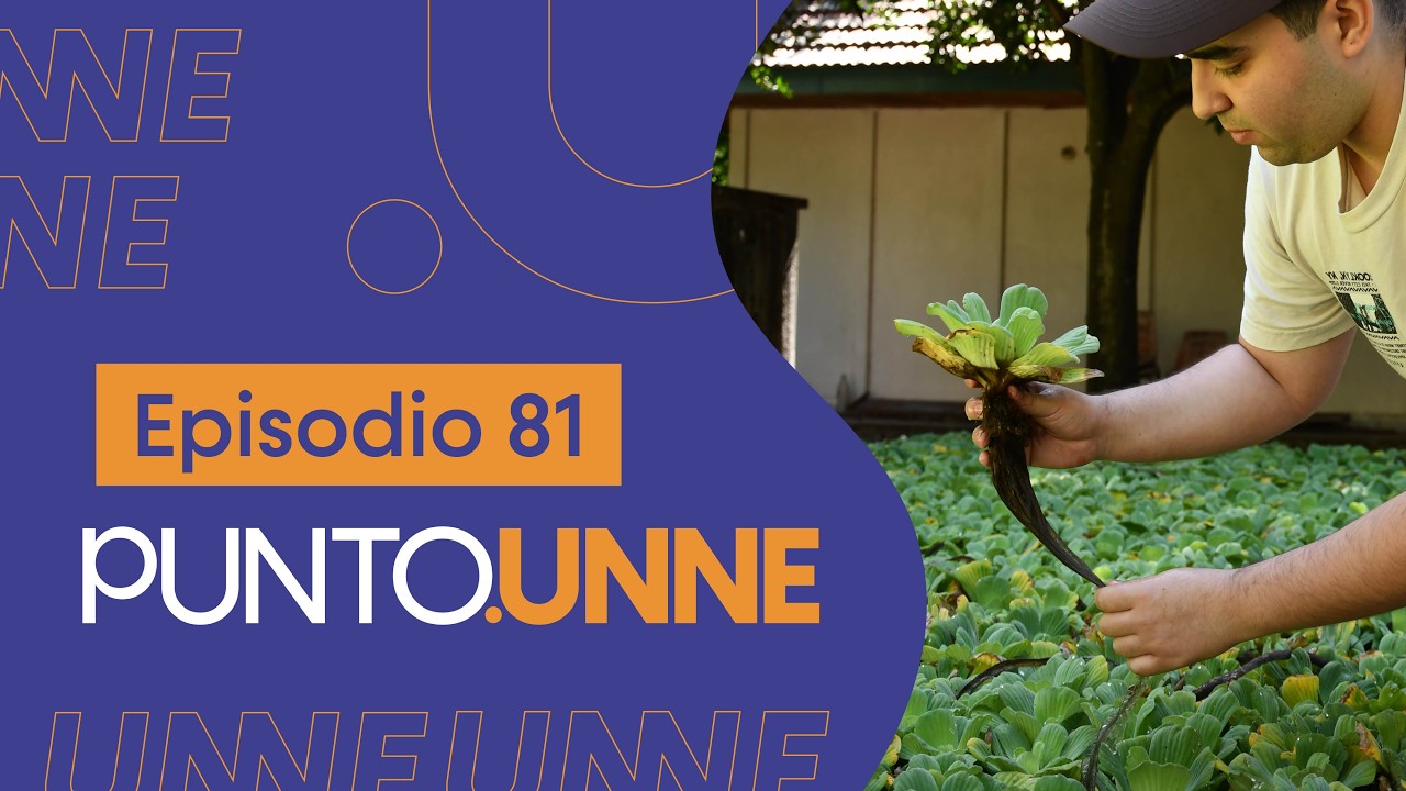 Punto UNNE - Episodio 81