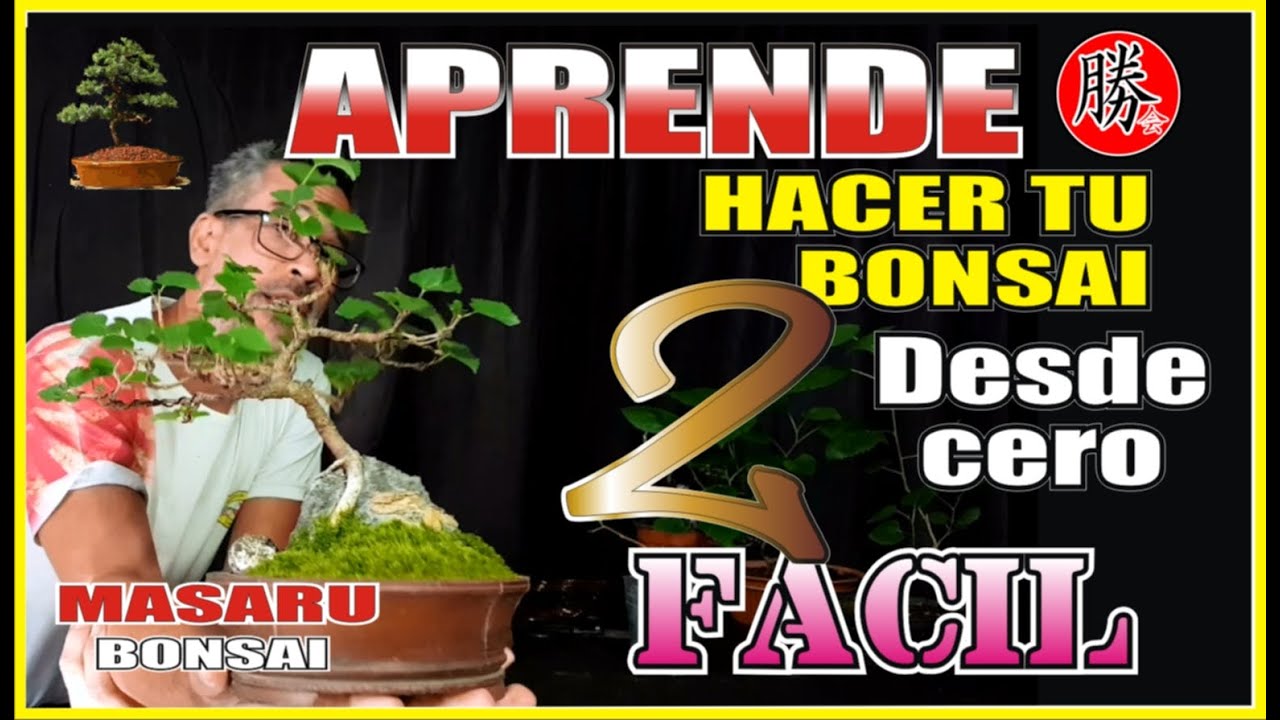 como CREAR Bonsai PASO a PASO💯FÁCIL Y RÁPIDO 🚩# 2 ✔Sabes Como hacer? SE FELIZ Y DISFRÚTALO 💚
