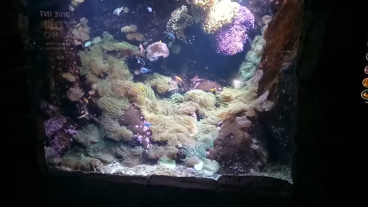 Museum in Australia 