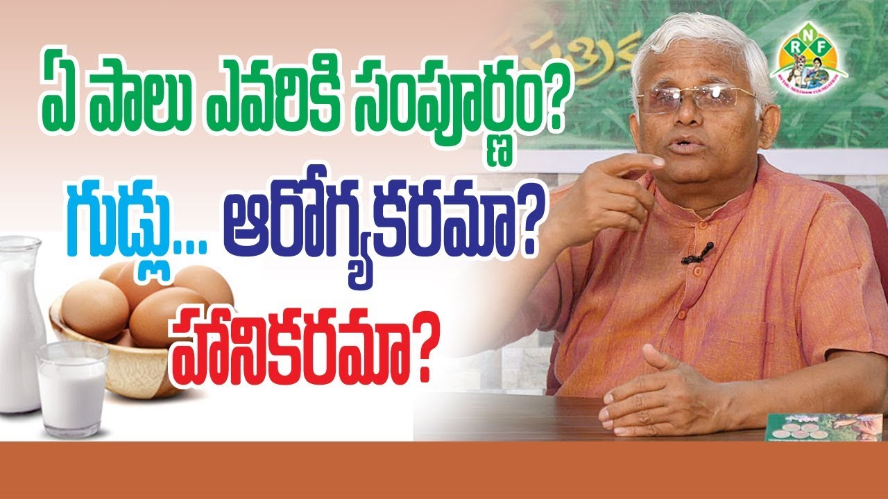 ఆవు పాలు, నాటు కోడి గుడ్లు తినటం మంచిదేనా ? Face to Face With Khadar Vali