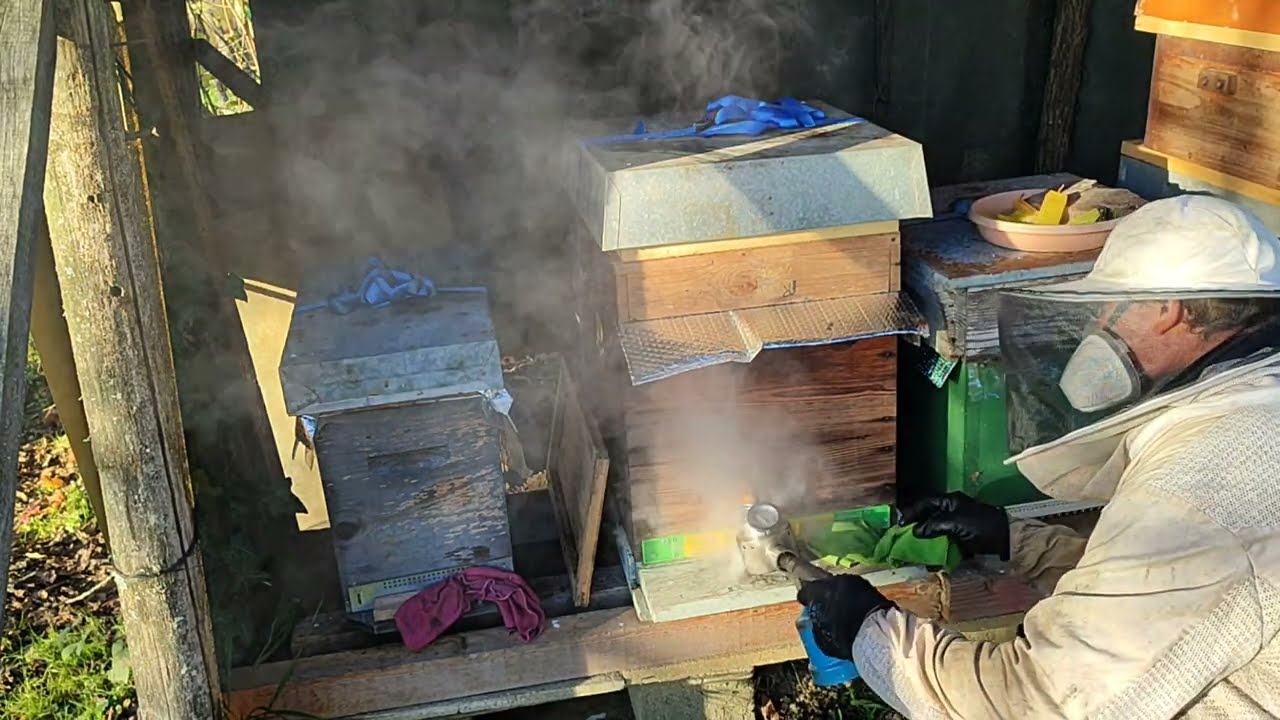 traitement par sublimation 😉 pour traiter le parasite de l'abeille qui est le Varoa 😉