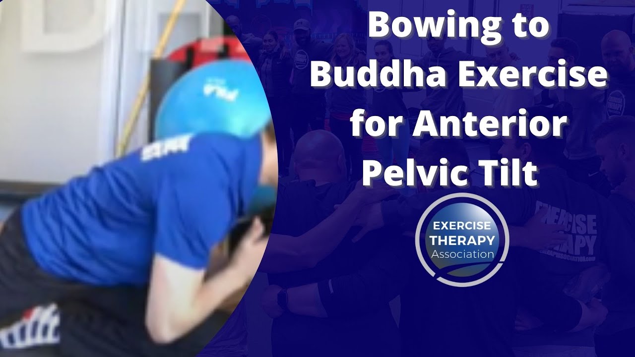 Bowing to Buddha Exercise for Anterior Pelvic Tilt | Exercise Therapy Association