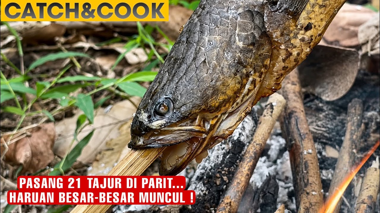 PASANG 21 TAJUR, MENJALA ANAK IKAN, PASANG BUBU, CASTING DAN BAKAR IKAN