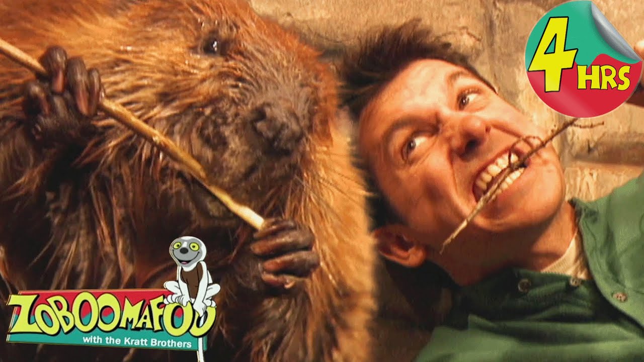 4 Hours of Zoboomafoo! | Homes | Full Episodes for Kids