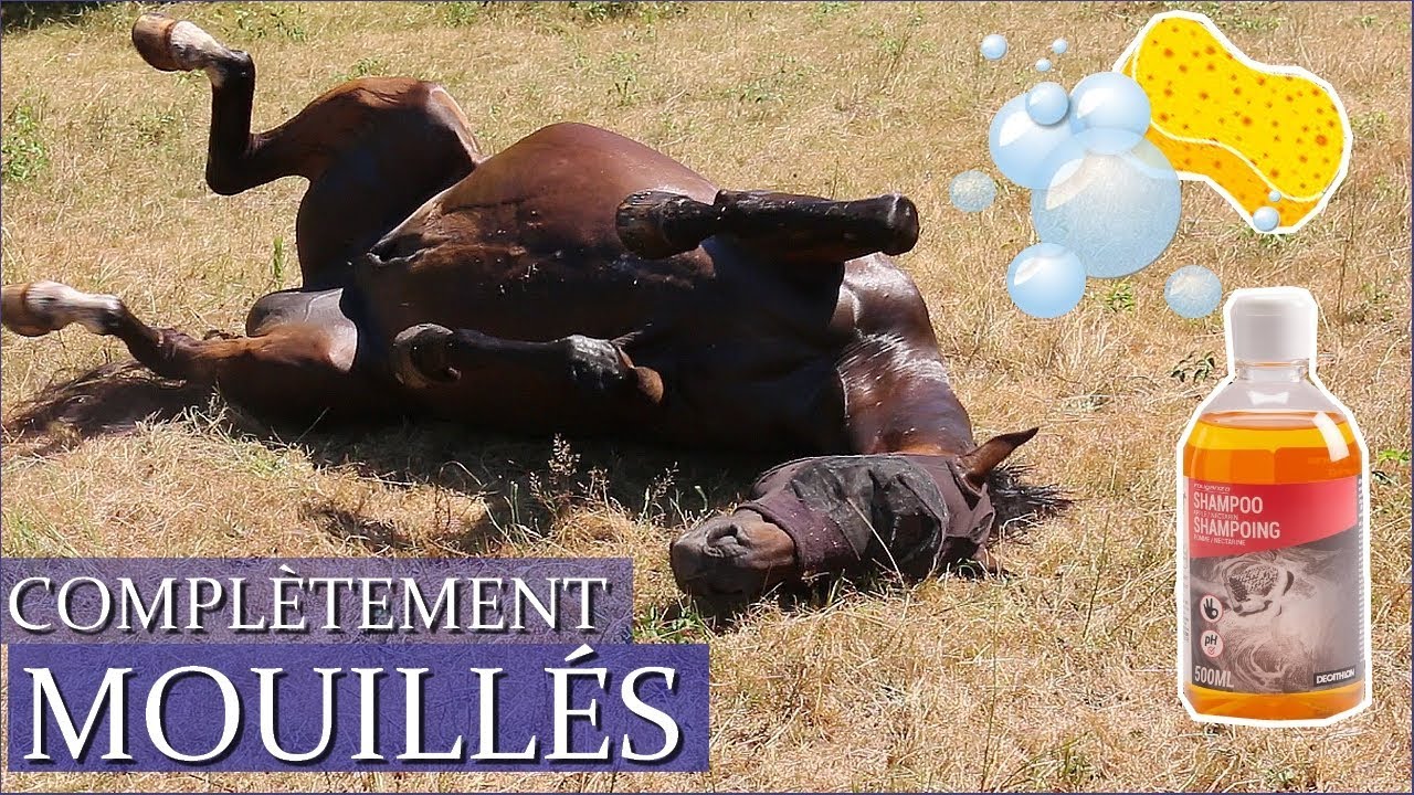 IL FAIT TROP CHAUD !! - #Vlog