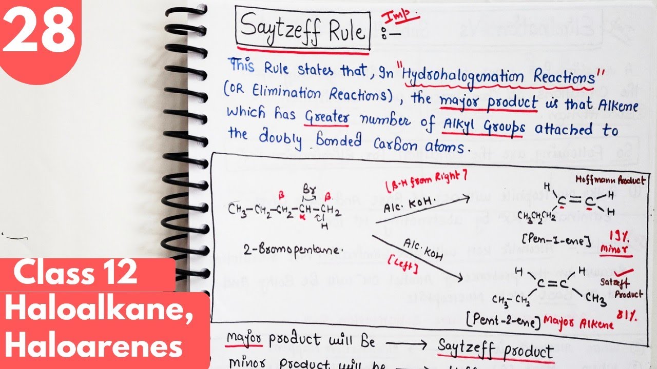 28) Elimination reactions of Haloalkane| Saytzeff rule| organic chemistry class 12 #neet #jee
