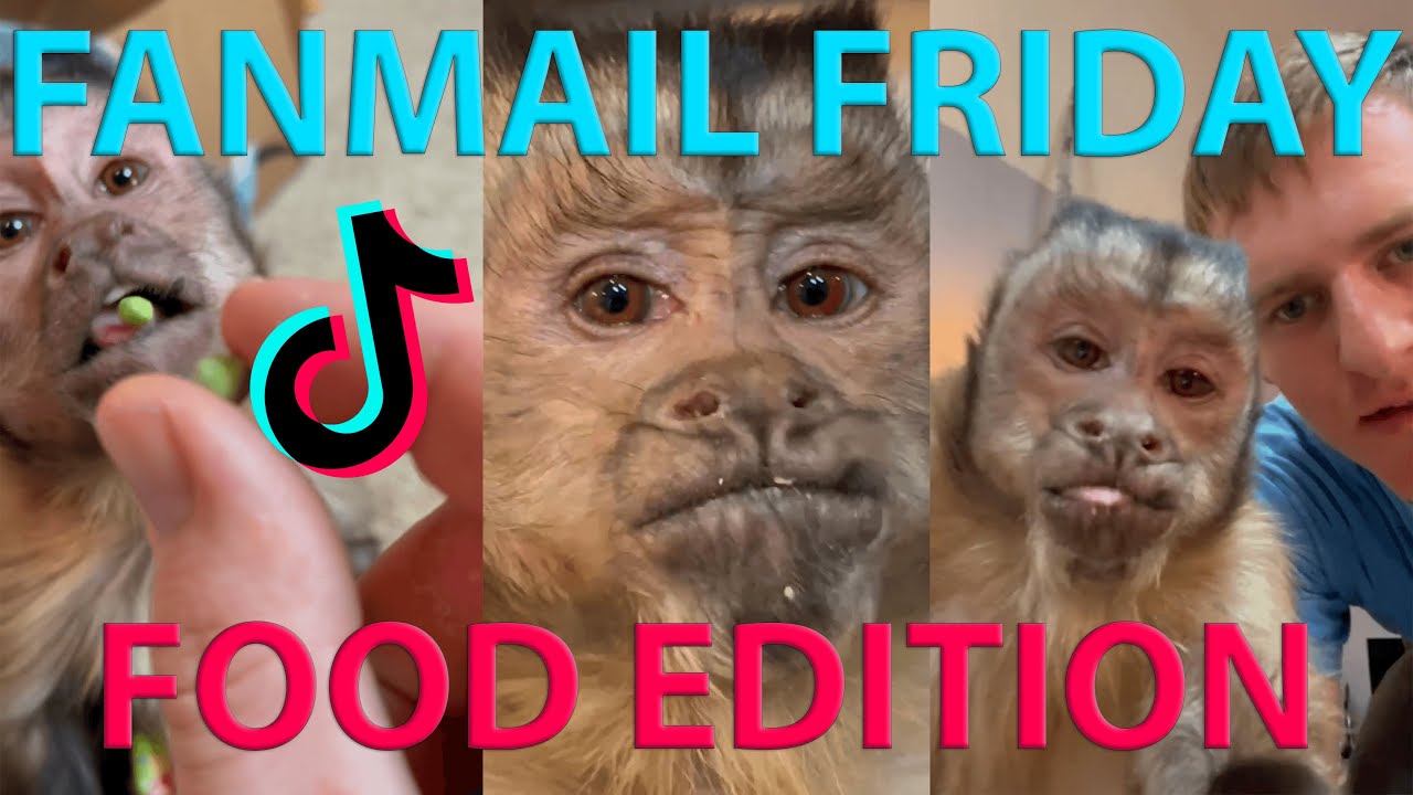 Georgie Boy Official - Fanmail Friday Food Edition Extended Cut! 🙊😂