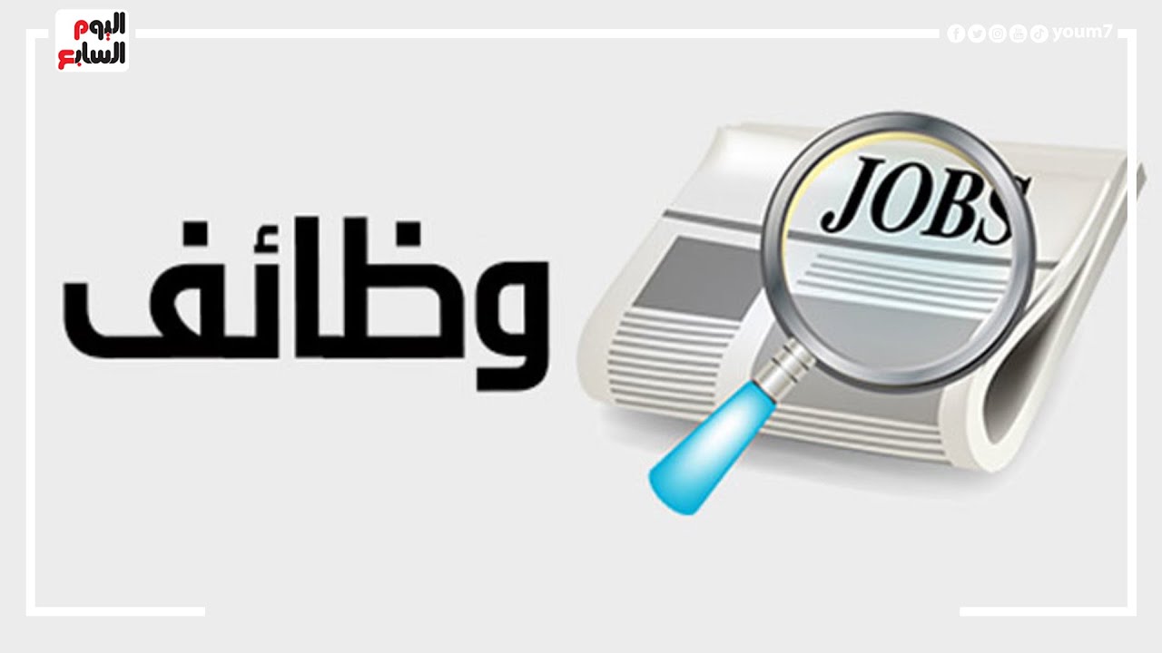 فرص عمل.. وزارة الأوقاف تعلن شروط مسابقة جديدة للتعاقد مع 1000 إمام و1000 عامل