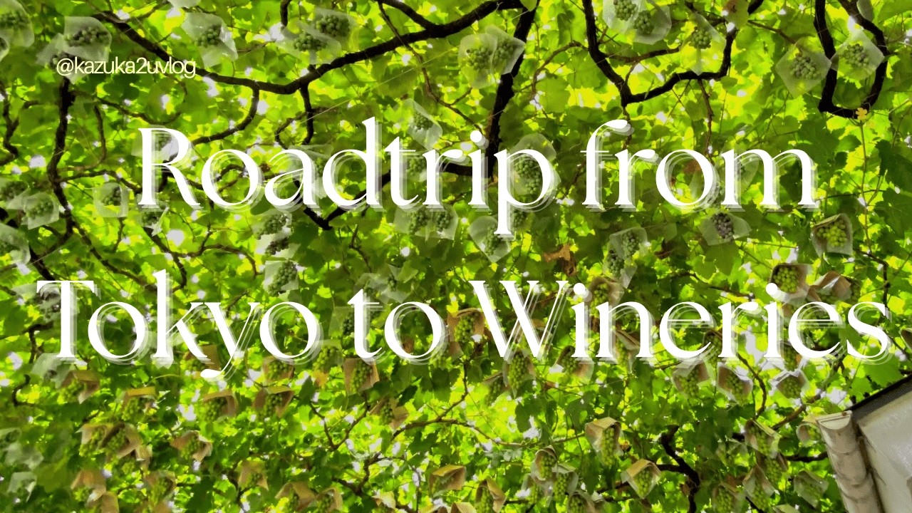 Wineries in Yamanashi  | Japan local travel, local food, great wineries, grape farm