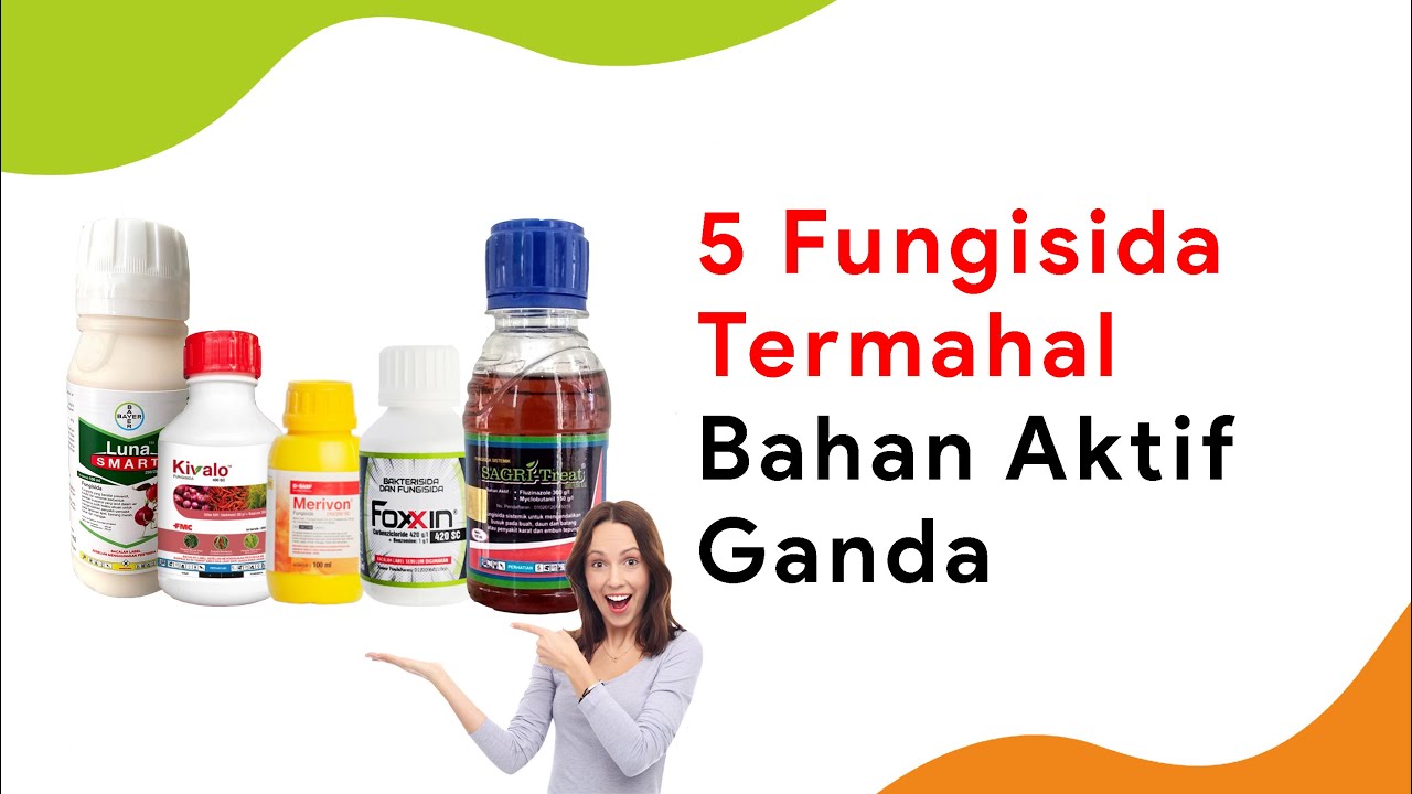 5 Fungisida Termahal Dobel Bahan Aktif Kerja Cepat