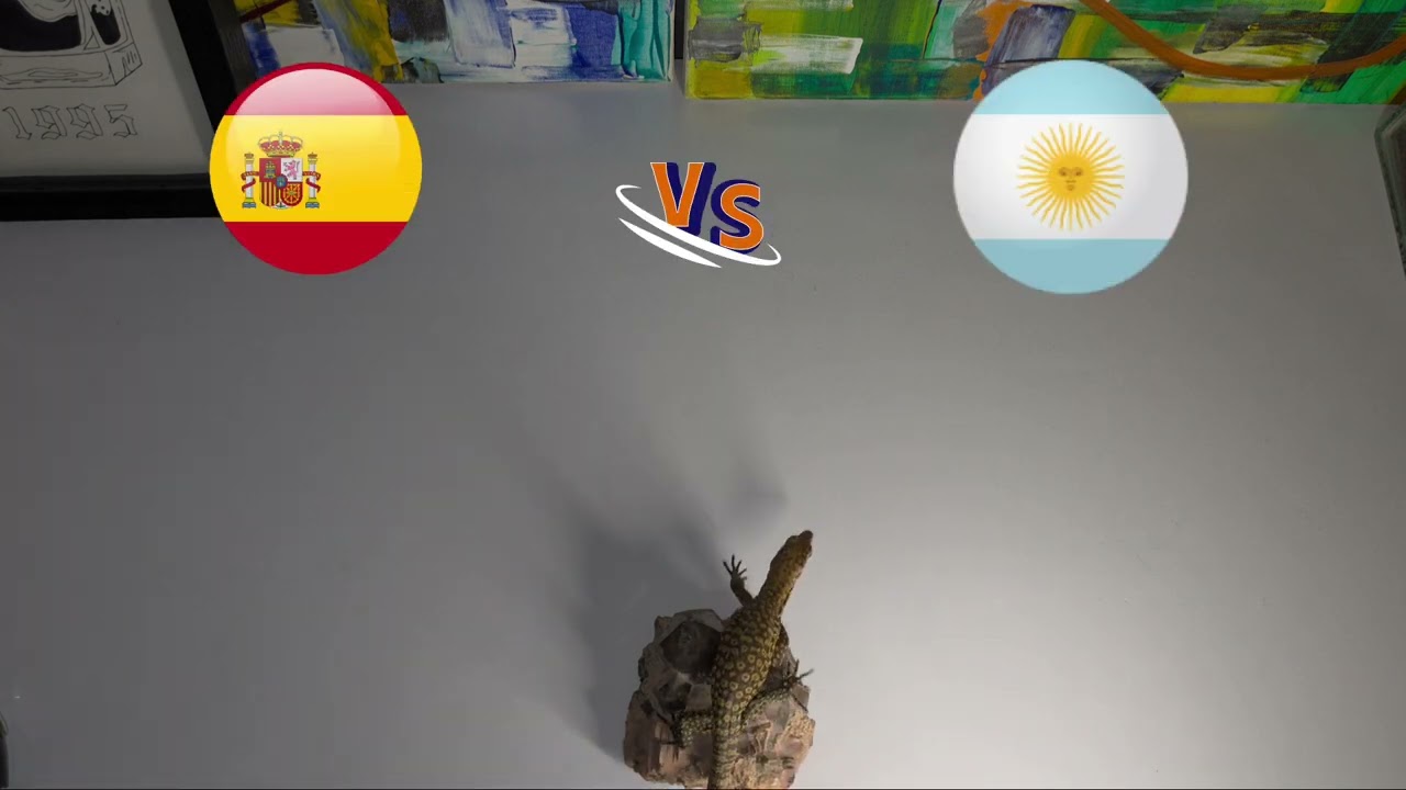 WORLD CUP FINAL PREDICTION!!!!