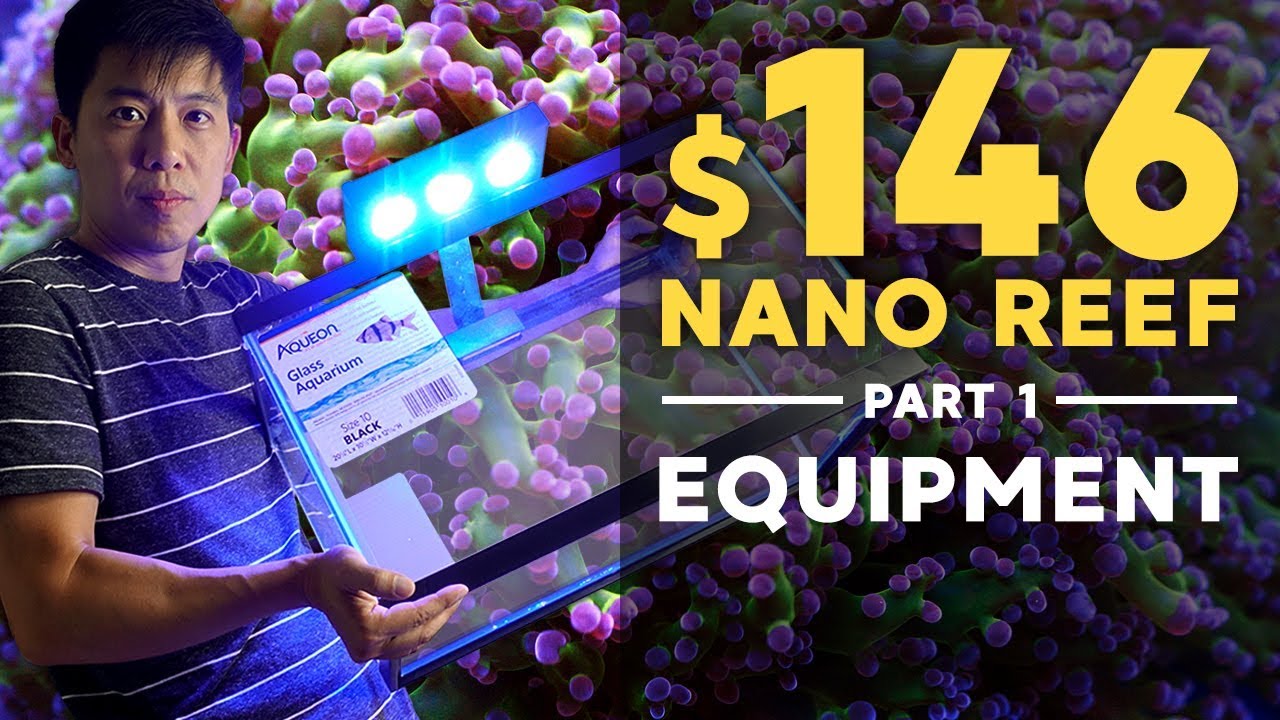 $146 Nano Reef: Equipment You Need (Part 1)