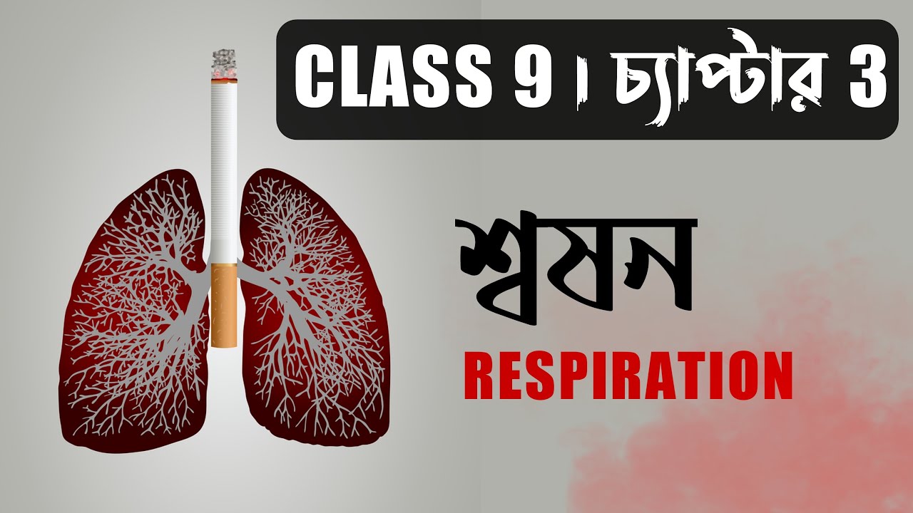 WBBSE CLASS 9 । Life Science Chapter 3 । শ্বসনতন্ত্র ও ফুসফুসের গঠন ।  BotanyTv