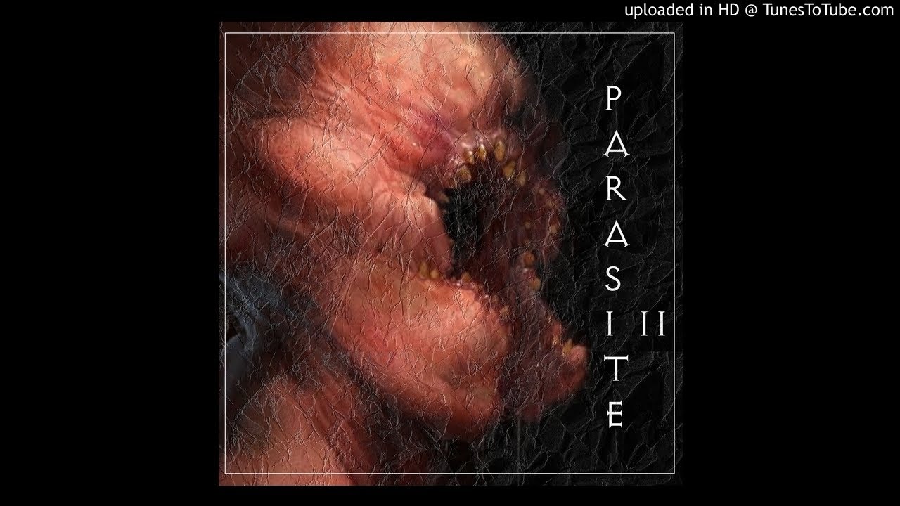 [FREE]DISTORTED TRAP METAL WARFILL X PRXJEK X SCARLXRD TYPE BEAT -
