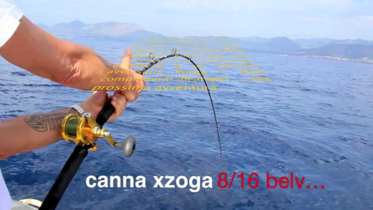 Tonno stimato 100 kg con canna 8/16 lb...