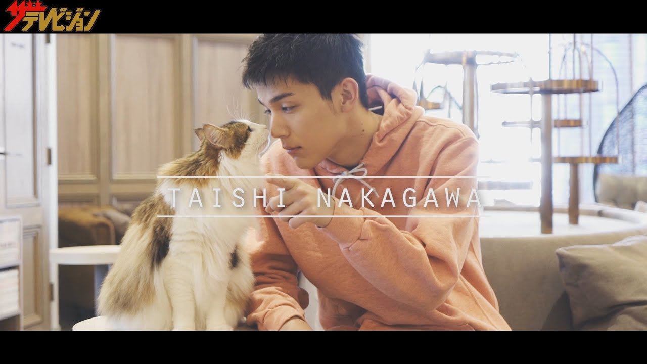 2月22日は猫の日！中川大志が、可愛すぎる猫たちに癒やされる…