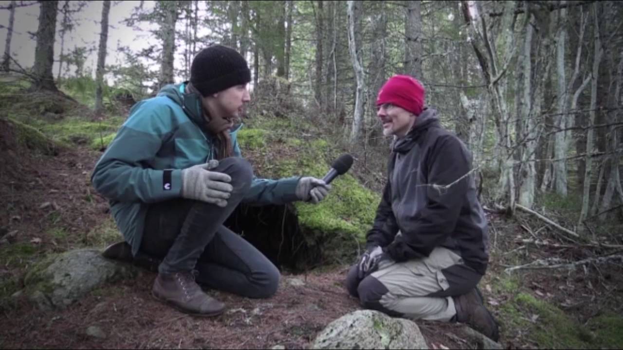 Vildriket del 2:  Vad händer om man närmar sig en björn i skogen