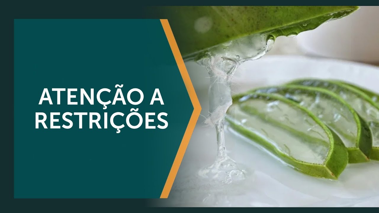 Babosa pode ser um medicamento?