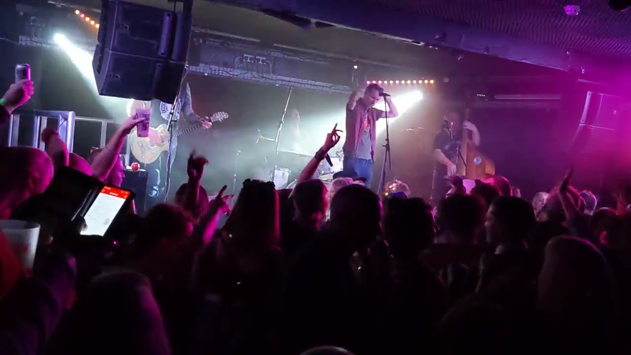 Skimmity Hitchers - Badger Man - Exchange, Bristol - 19th Jan 2024