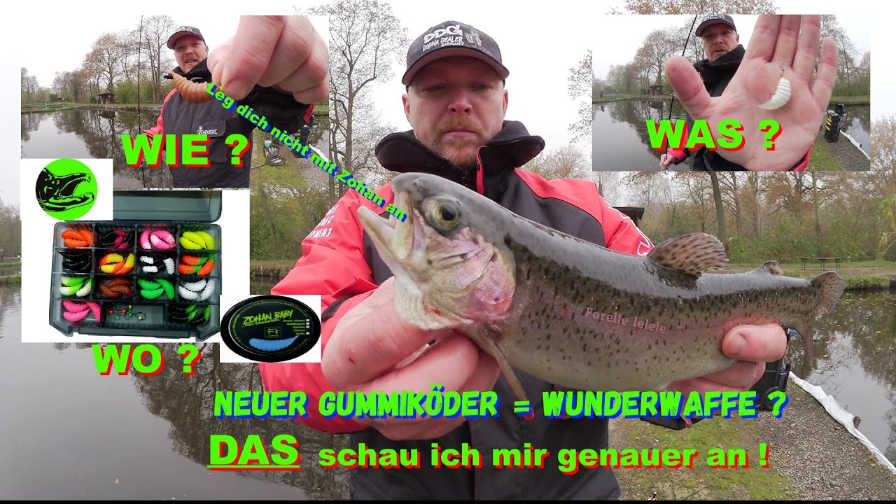 Gummik&ouml;der Tutorial Zohan Baby. Den Fish Innovations K&ouml;der unter die Lupe genommen. Was kann er?