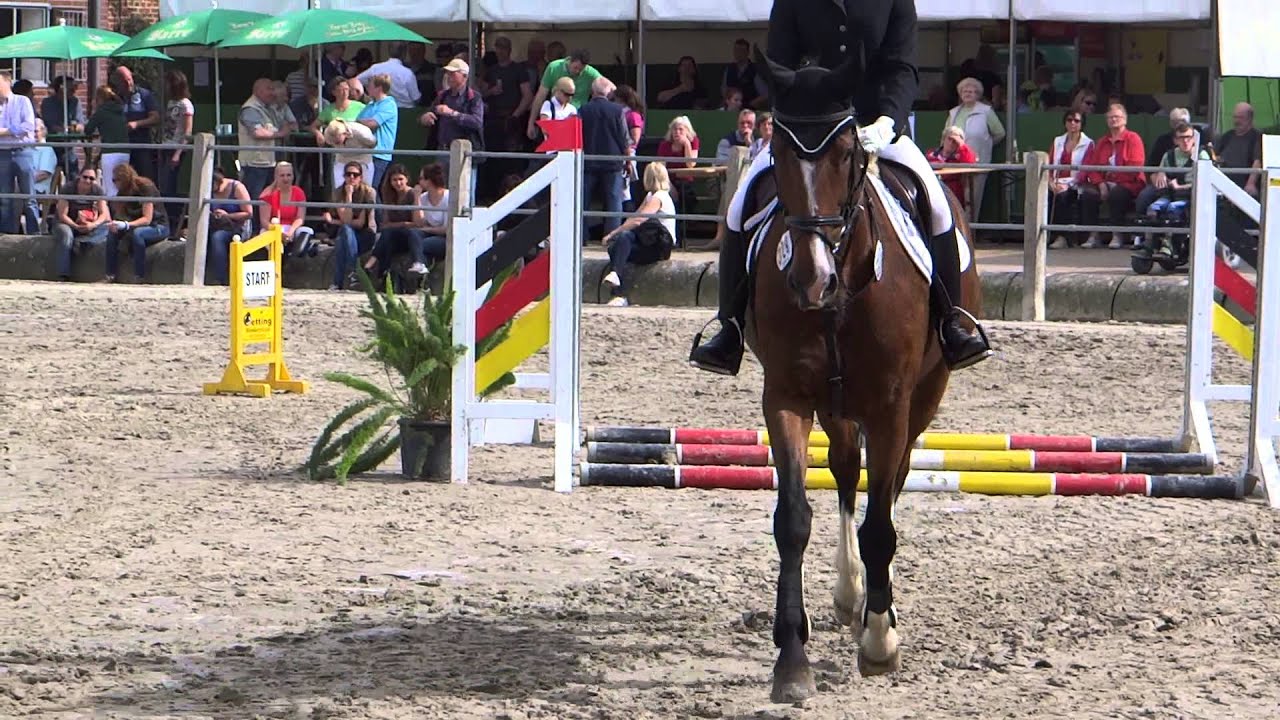 Aline & Poly, Springreiterwettbewerb