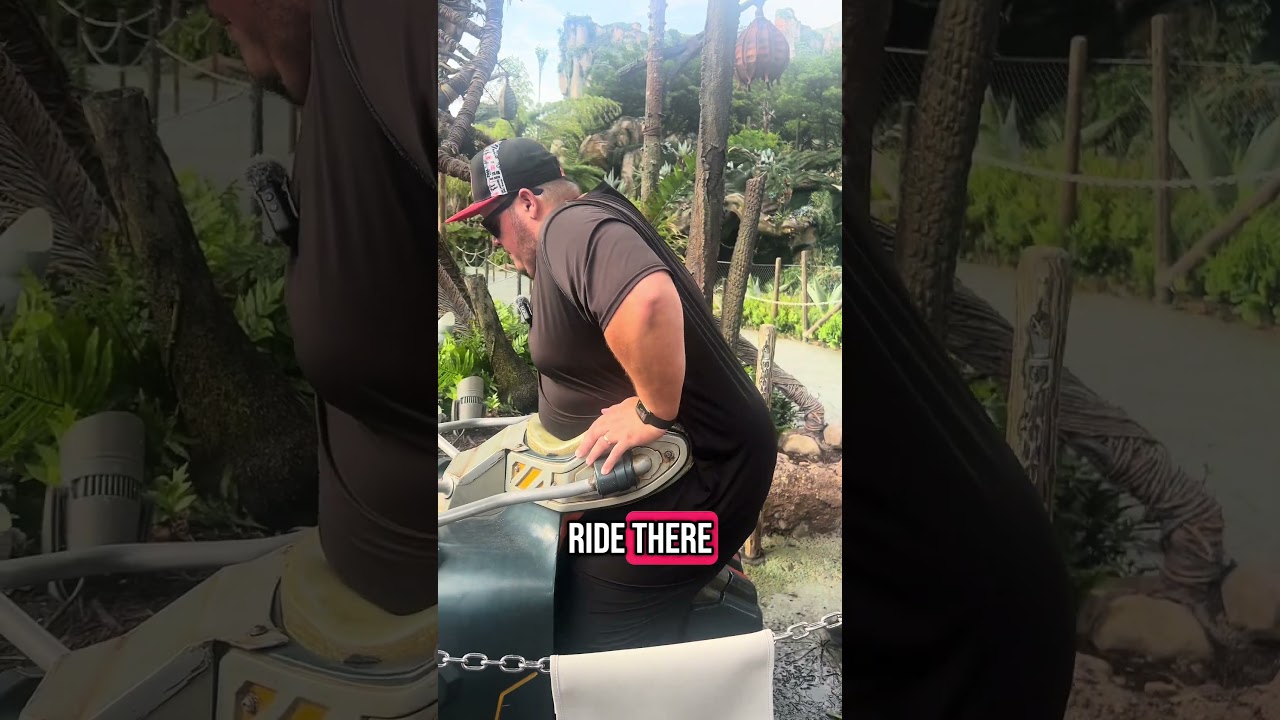 Disney World Animal Kingdom Plus size testing Flight of Passage.