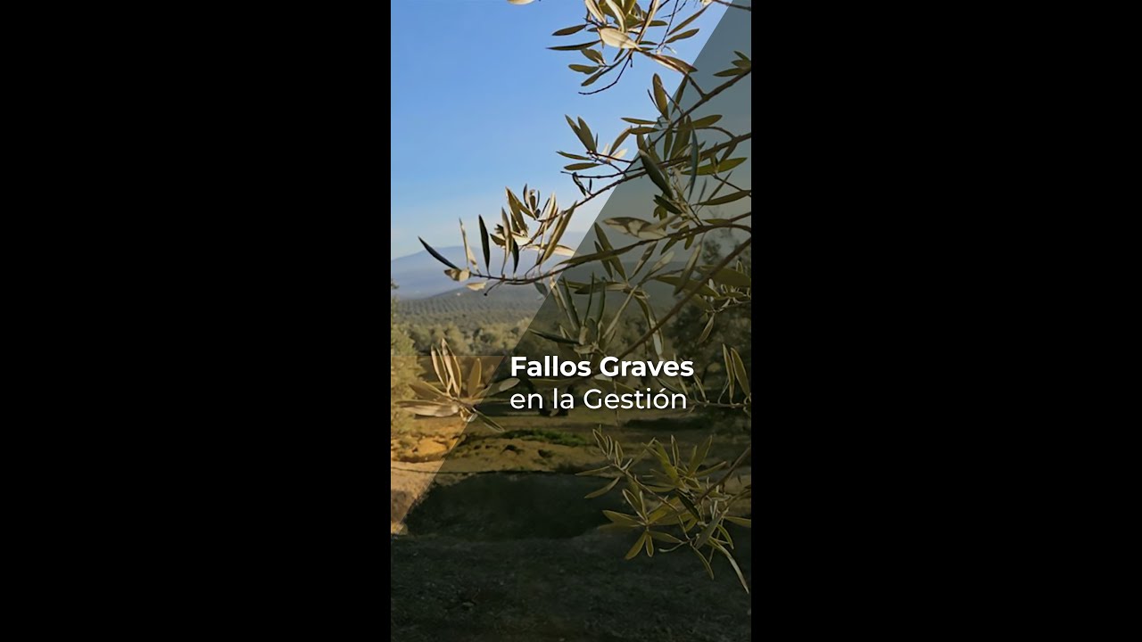 FALLOS GRAVES EN LA GESTI&Oacute;N DE LA FINCA