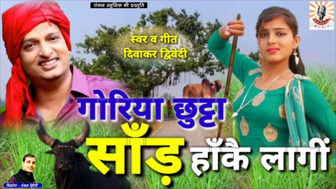गोरिया छुट्टा सांड हाँकै लागी || Diwakar Dwivedi Hits || Diwakar Dwivedi Awadhi Song || Pankaj Music