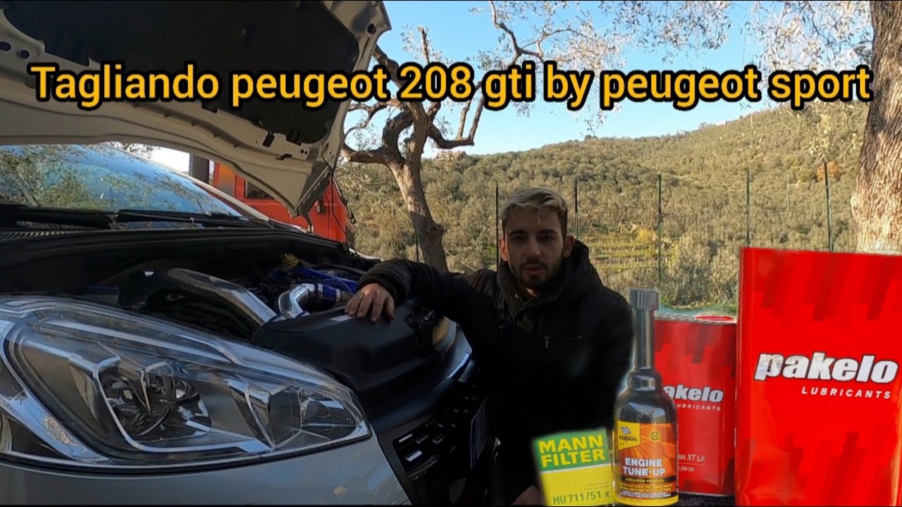 Tagliando peugeot 208 GTi by Peugeot Sport tutorial