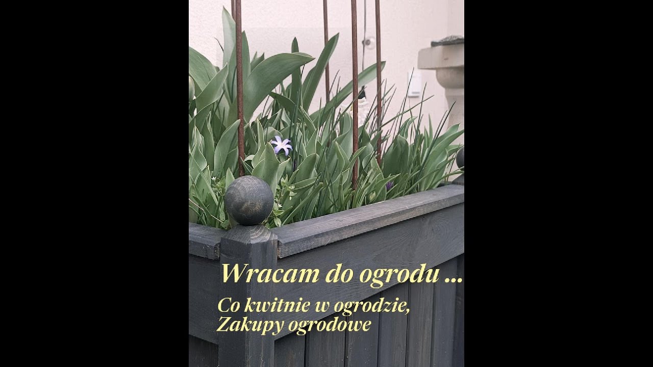 Jest! Idealna, ozdobna donica, sadzimy rośliny... #flowers #ogrody #garden #nature