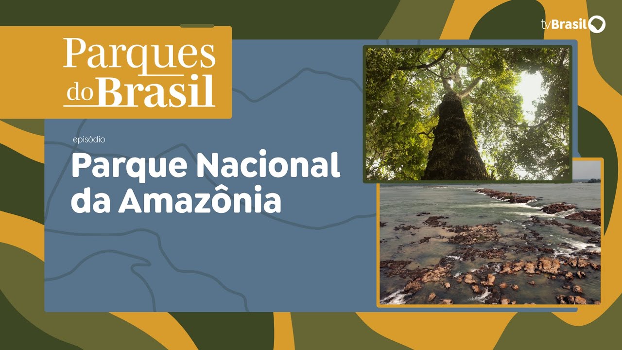 Parque Nacional da Amazônia | Parques do Brasil