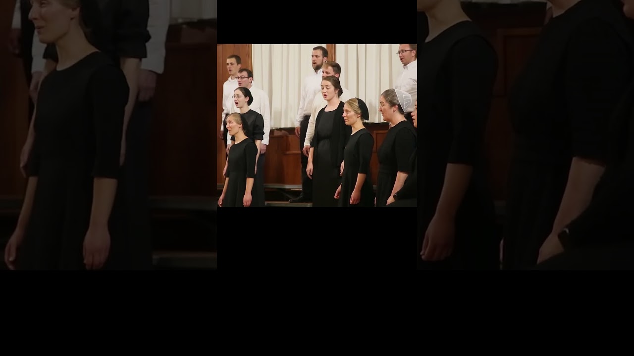 so beautiful it hurts 😣🫢 #choir #acapella #music #2024 #shorts #healing #river