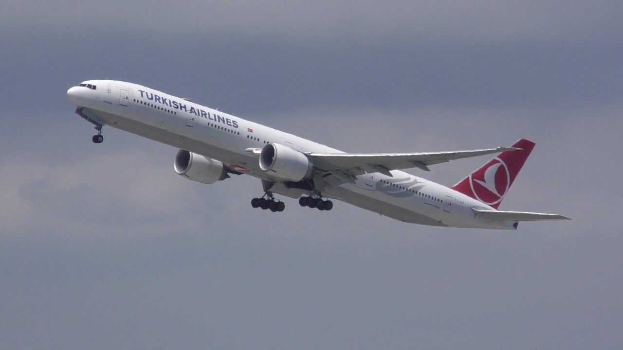 Un Día en JFK ✈️ Aviones AVIANCA Swiss ANA Turkish en Acción