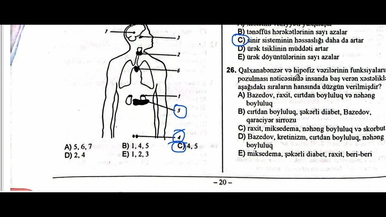 Vəzilər və onların funksiya pozğunluqları| Biologiya DIM test toplusu 2023