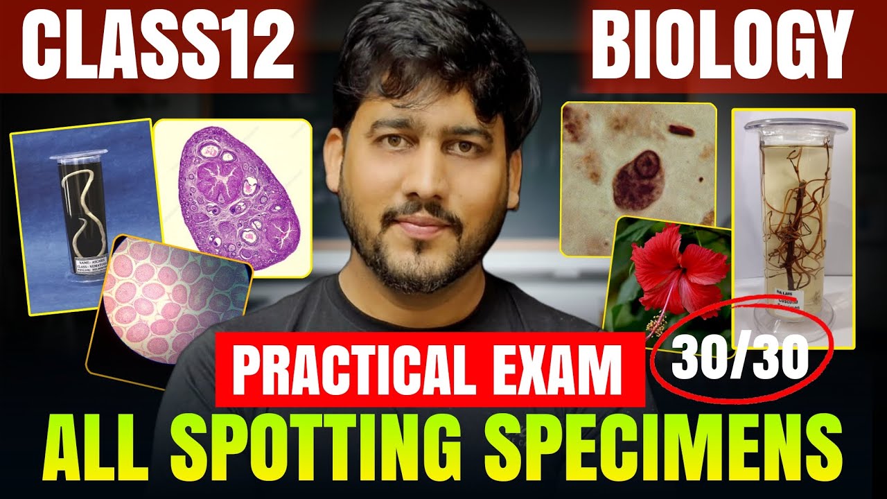 How to do Spotting | All SPOTTINGS in One Video | Biology Practical | Class 12 | Boards 2025-26