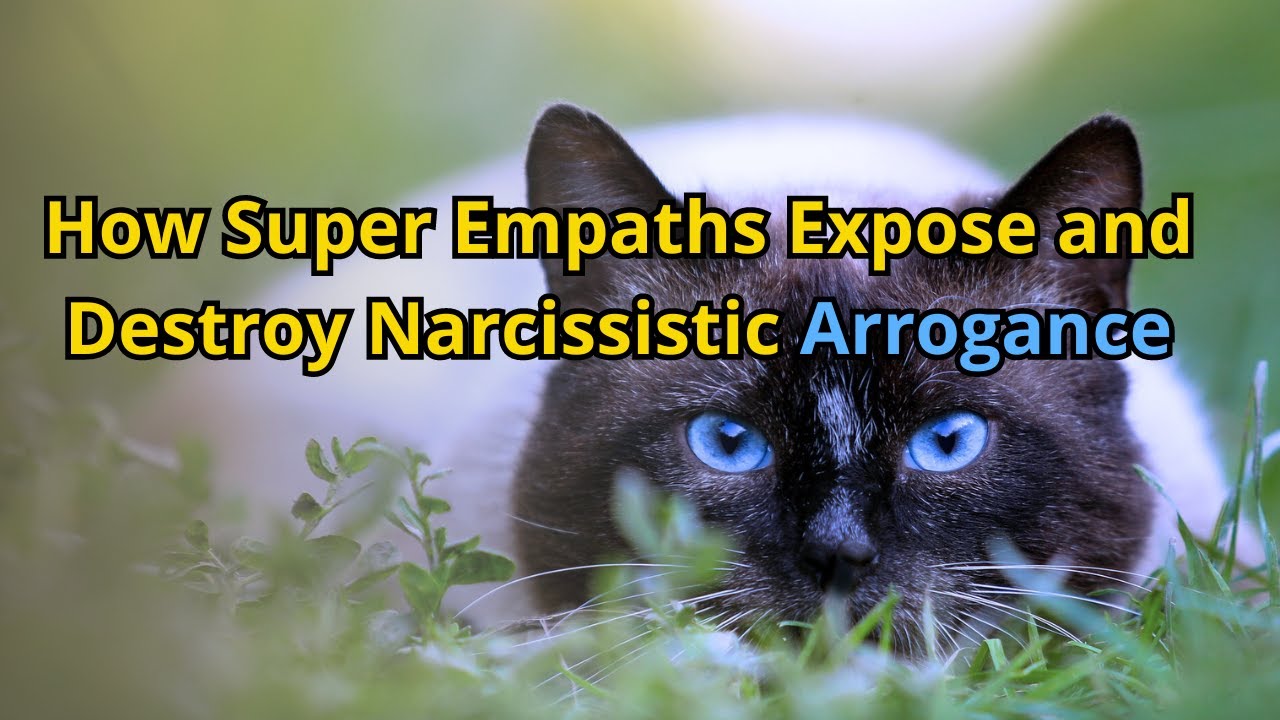 How Super Empaths Expose and Destroy Narcissistic Arrogance