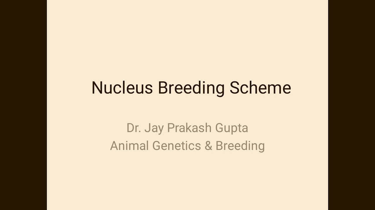Nucleus Breeding Scheme in Livestock