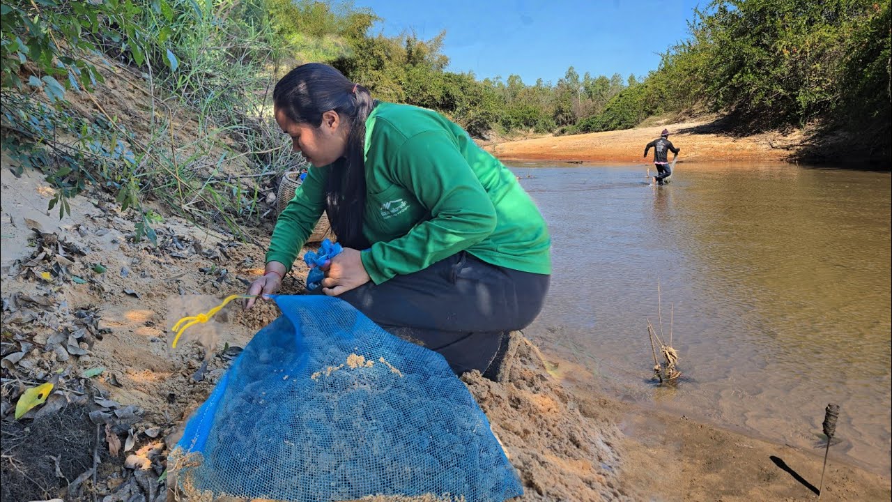หาเขียดทราย เขียดน้อย!!ตามหาดทราย วางข่ายลำโดมใหญ่ เก็บผักแก่นส้มแก่นขมวันนี้!!03ก.พ2569